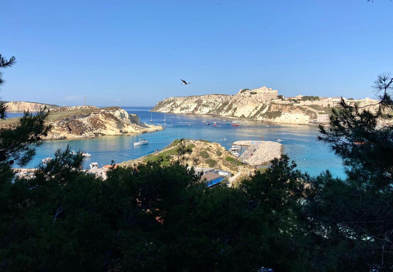 Alby Suite Termoli Dış mekan fotoğraf