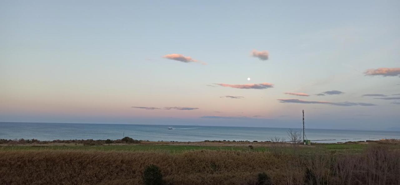Alby Suite Termoli Dış mekan fotoğraf
