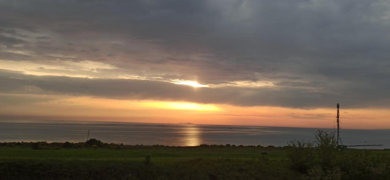 Alby Suite Termoli Dış mekan fotoğraf